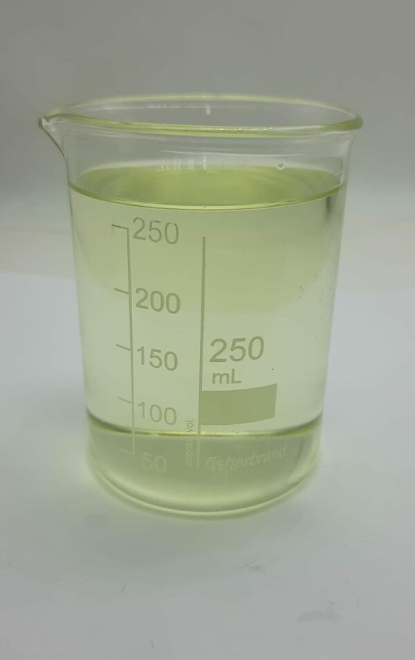 Cajiput Oil Color Photo