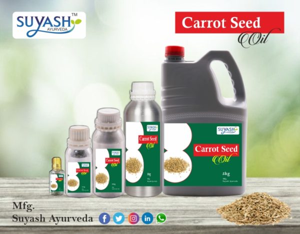 Carrot Seed Oil