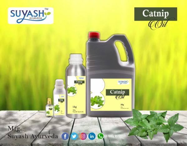 Catnip Oil