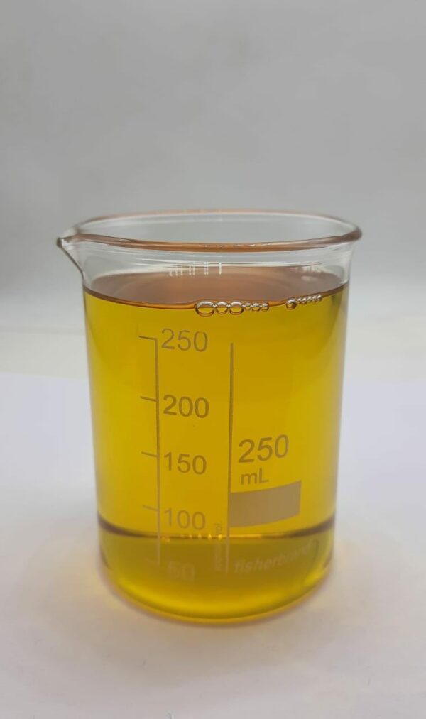 Cypress Oil color Photo