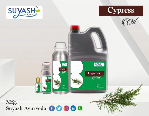 Cypress Oil
