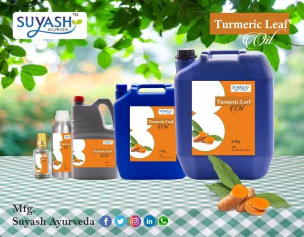 Turmeric Leaf Oil